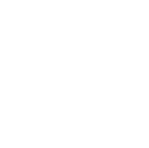 Logo Lion Energy