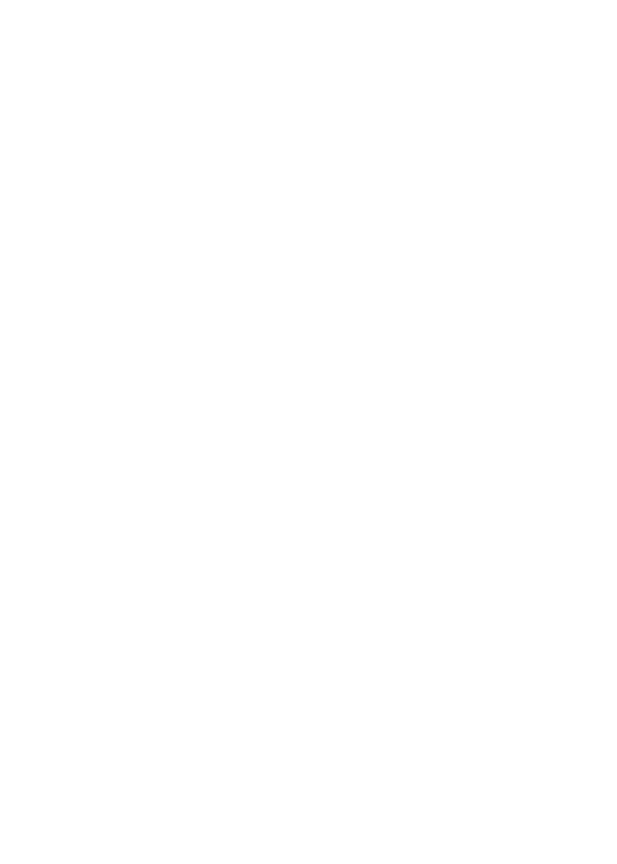Logo Roi Vacation Homes