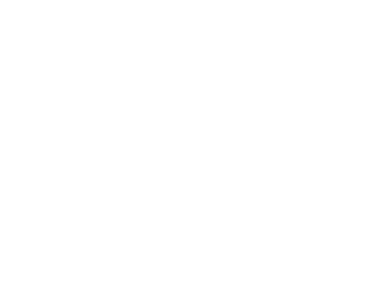 Logo Speedy Moving