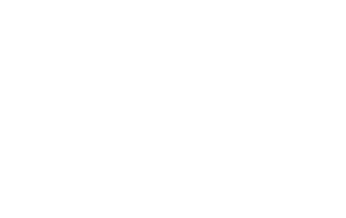 Logo Villa della Palma
